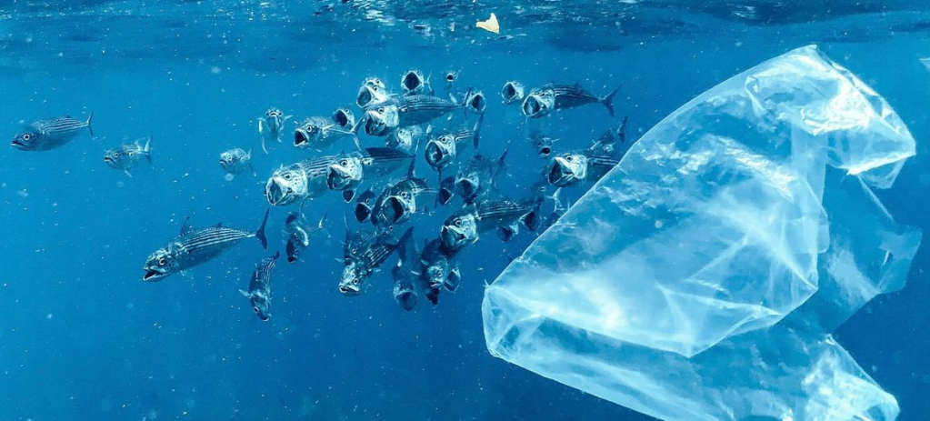 plastic pollution
