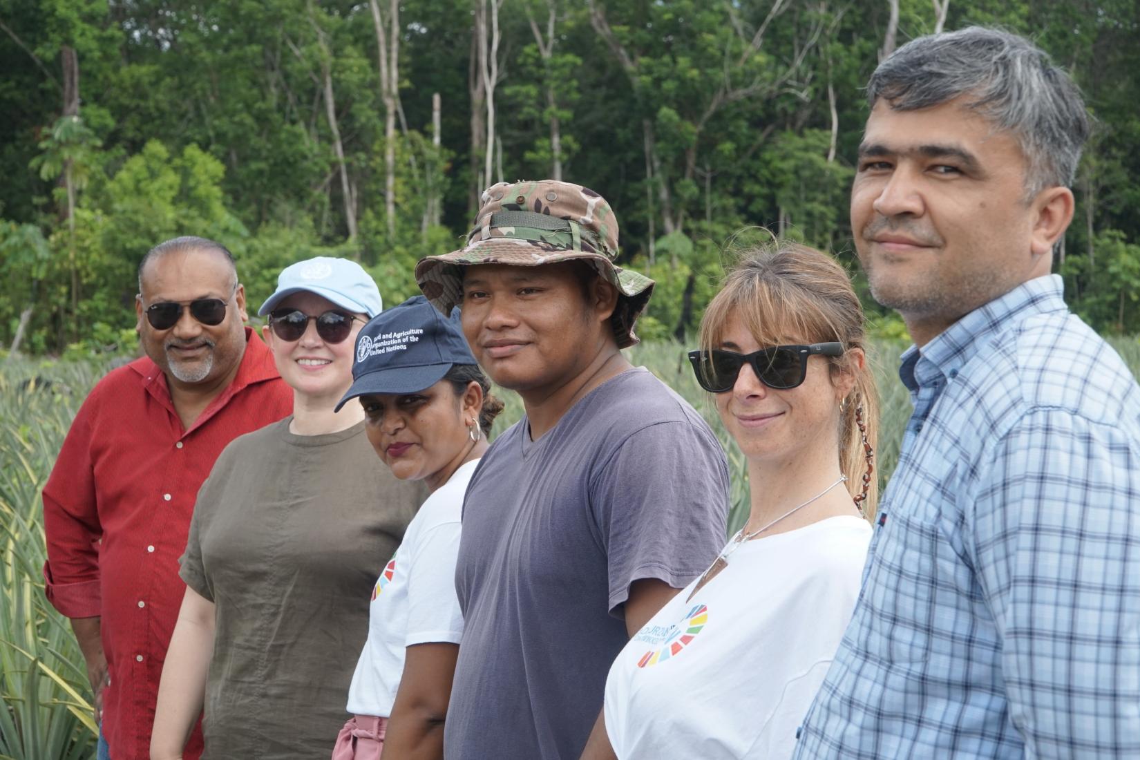 A group of people stand in a line in a pineapple farm