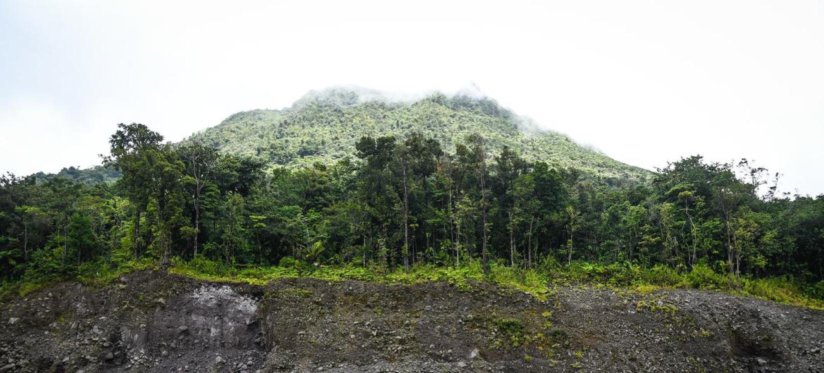 The site of Dominica's geothermal energy plant.