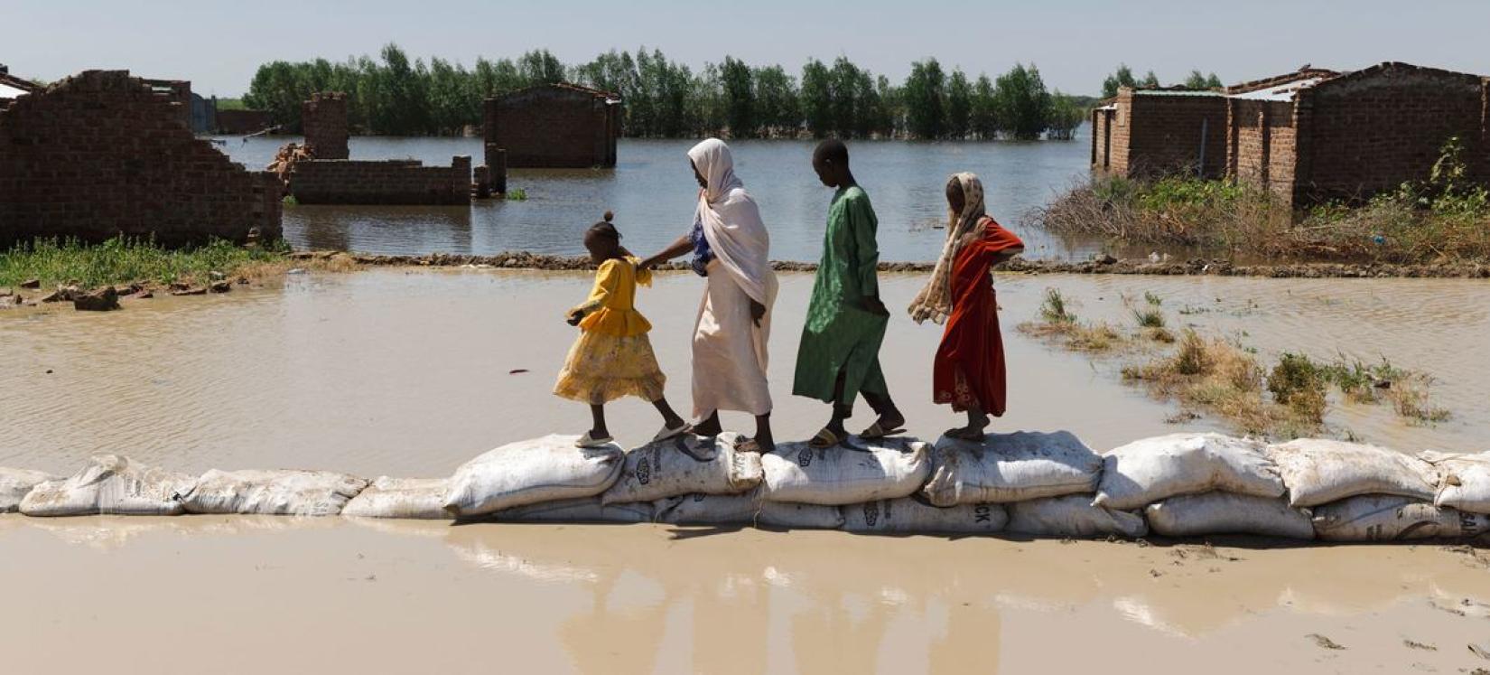 Severe floods have affected Cameroon refugees at the Guilmey refugee site in Chad.