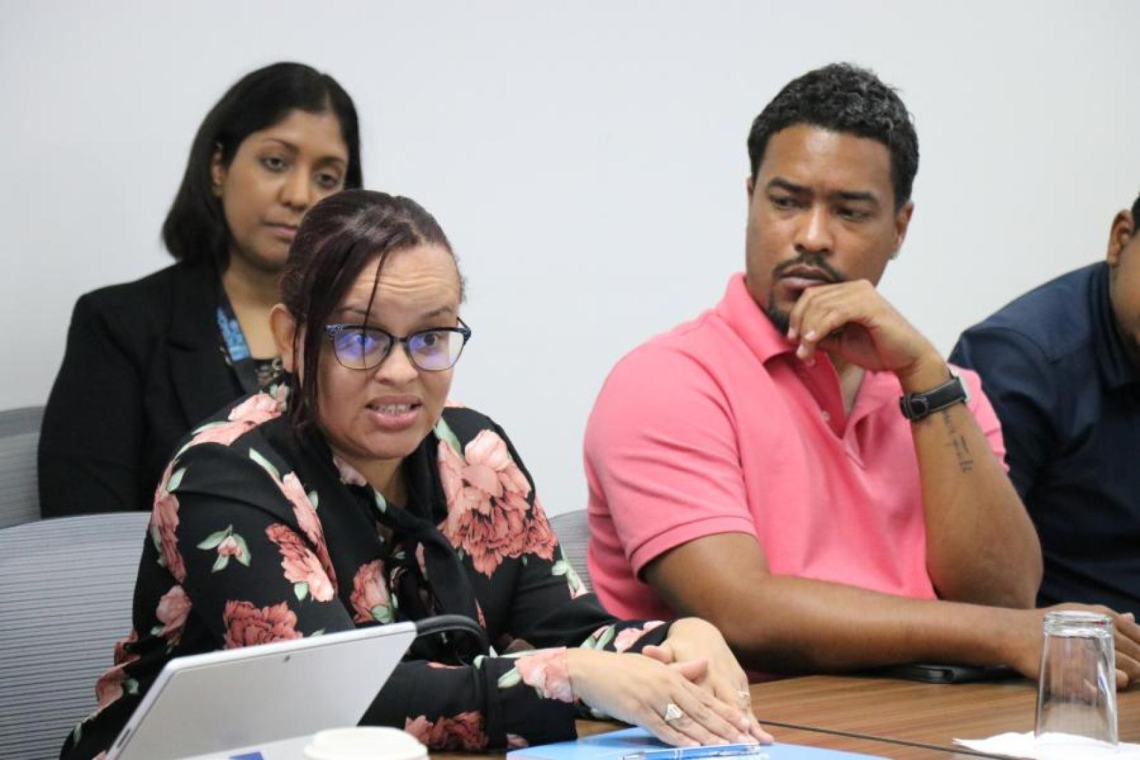Business journalist, Andrea Perez-Sobers, shares her thoughts while radio host, Ryan Shing Hong, looks on.