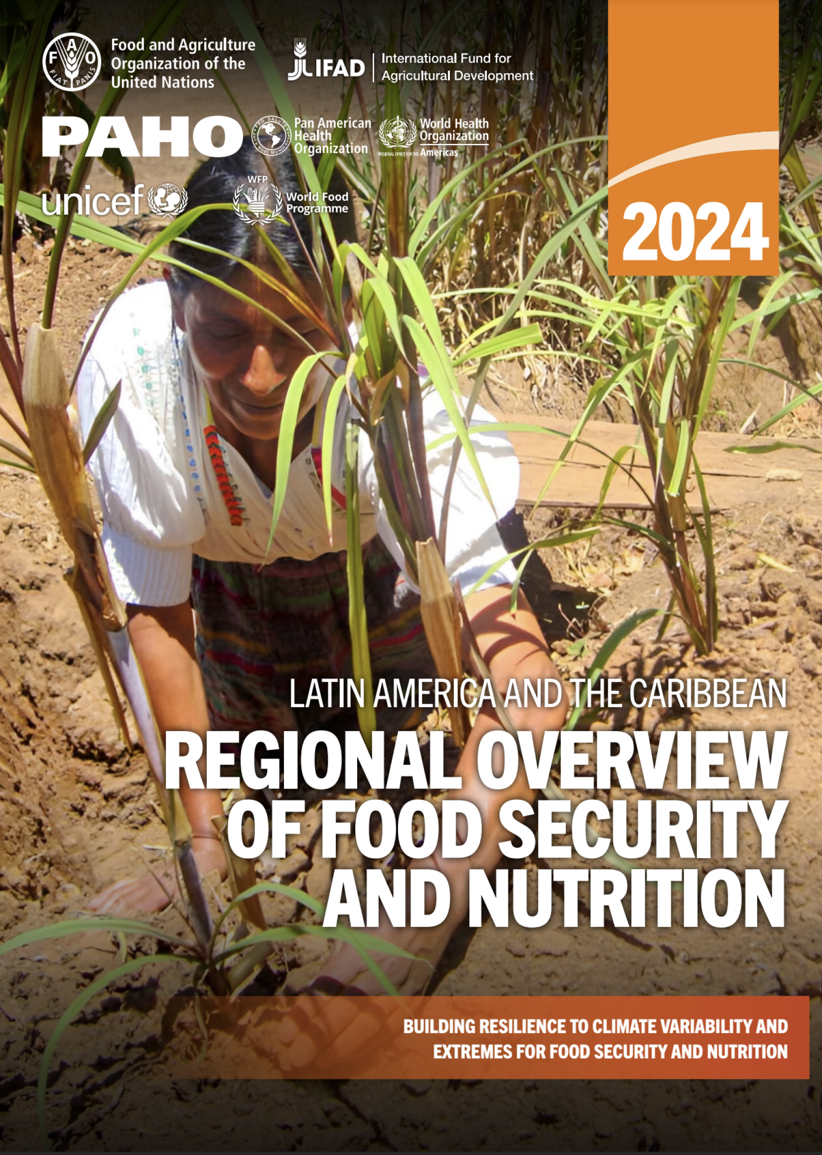 Latin America and the Caribbean Regional Overview of Food Security and Nutrition 2024