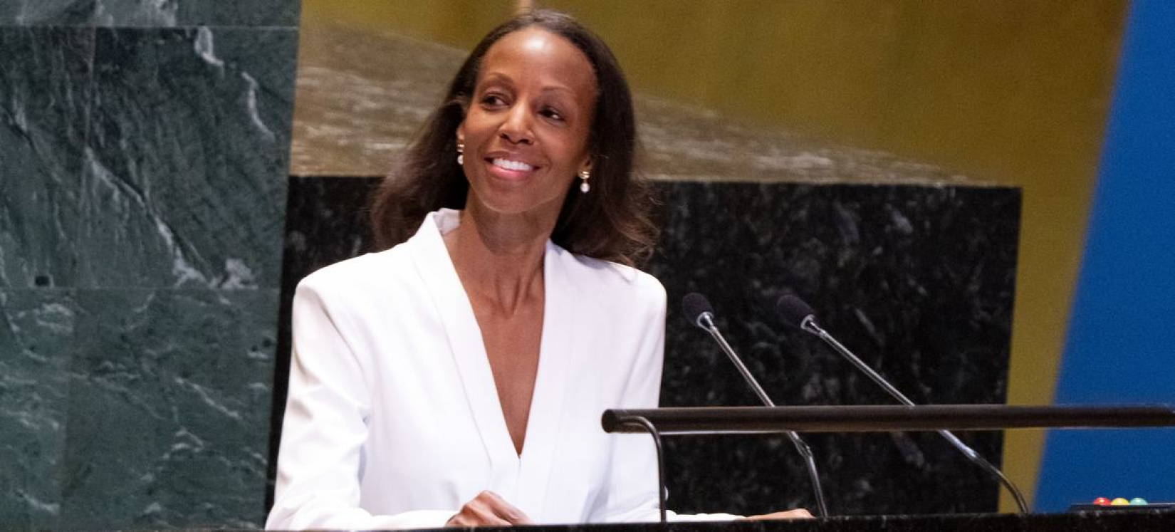 Sarah Lewis, Associate Professor at Harvard University and Founder of Vision and Justice, addresses the UN General Assembly.