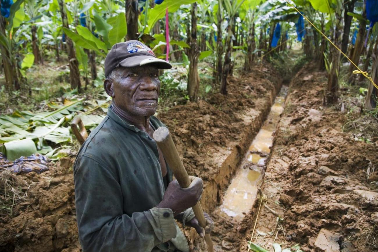 FAO and CARICOM have launched a virtual course on trade, food security, and nutrition. The course is designed to help government representatives and professionals in the region understand the linkages between food systems and healthy diets, and to assess the critical role of regional trade for food security and nutrition.