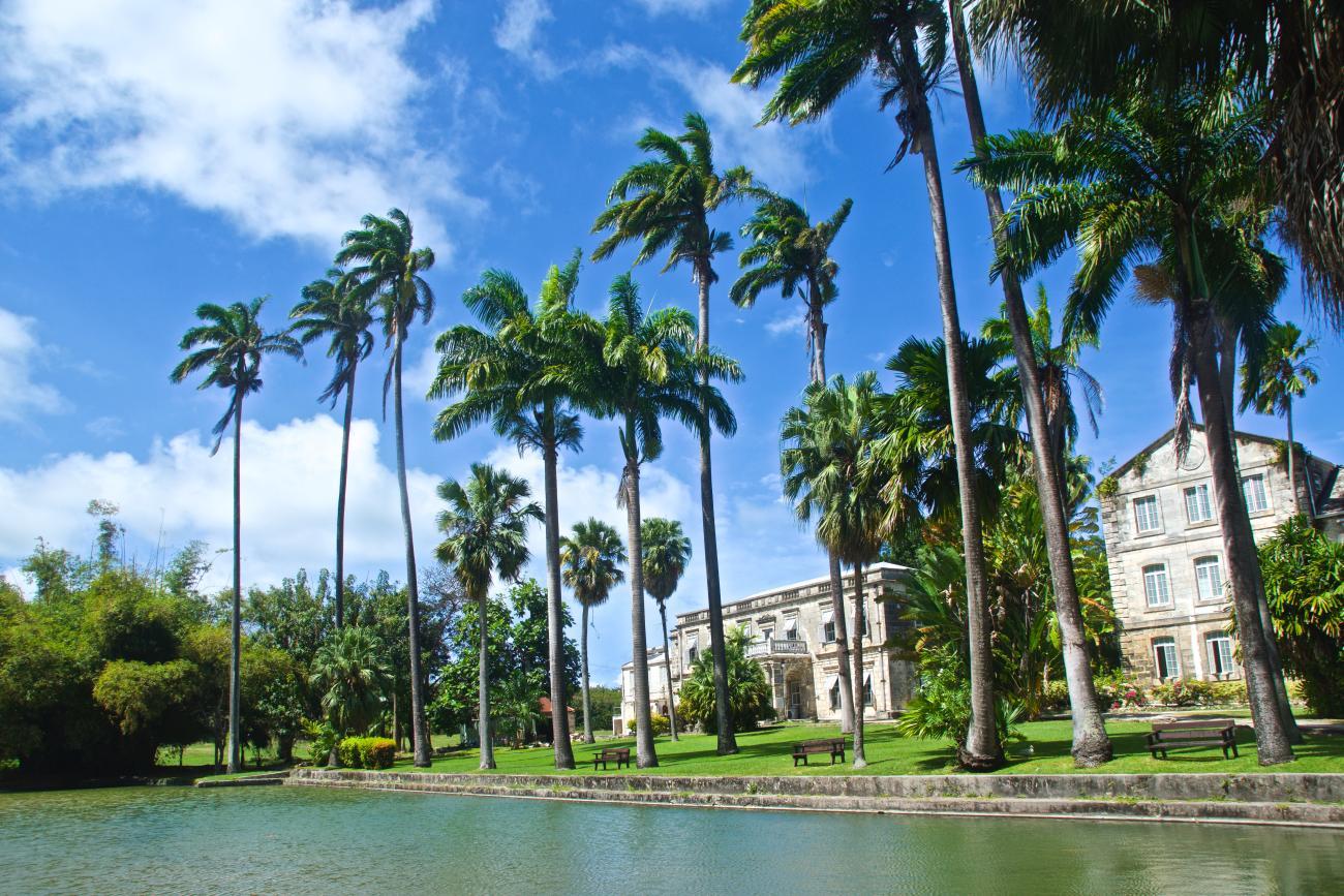 The UN is helping Caribbean countries to identify and address the key constraints to Blue Economy development, such as policy and regulatory gaps, and institutional shortcomings.