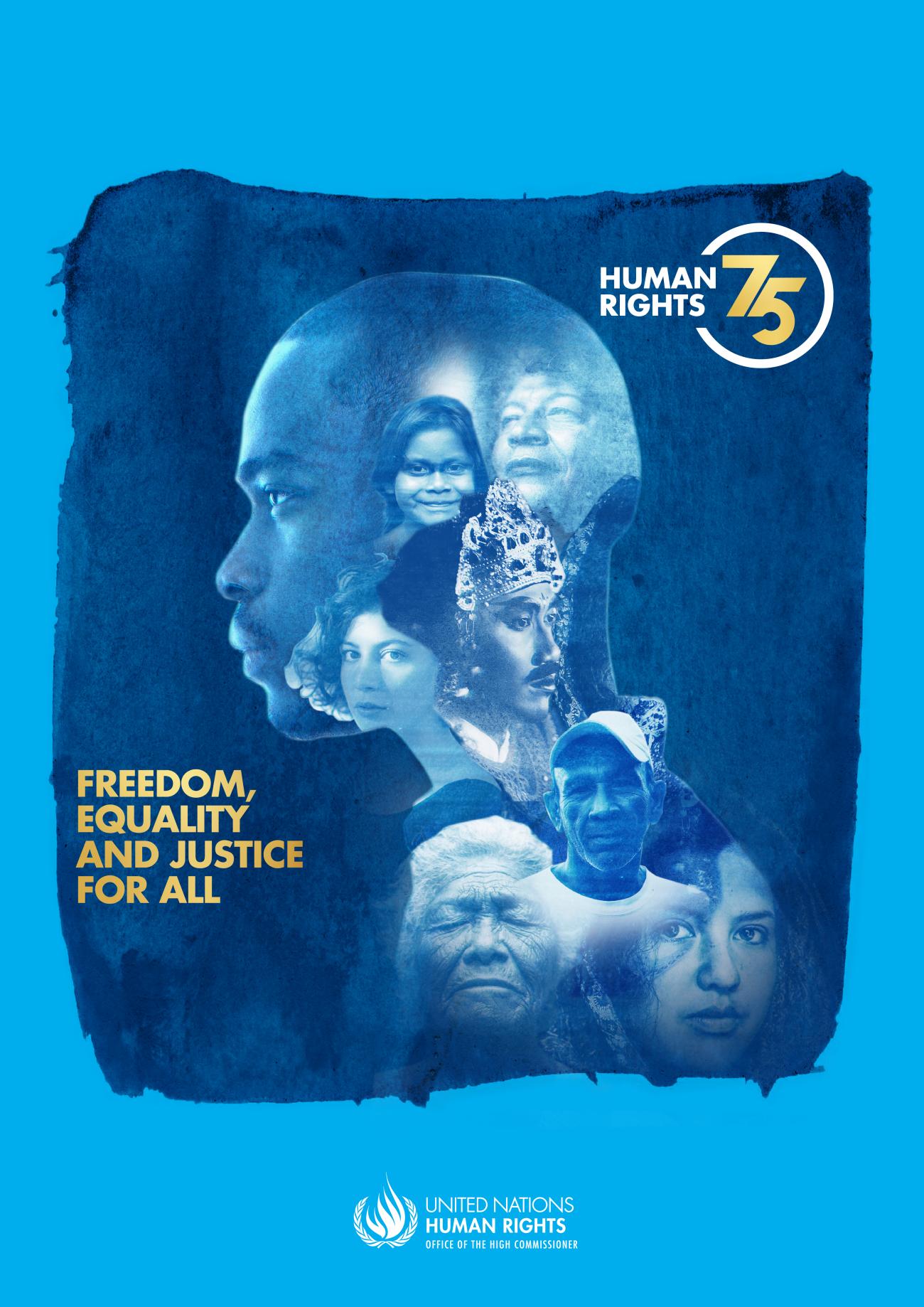 Human Rights 75 Poster