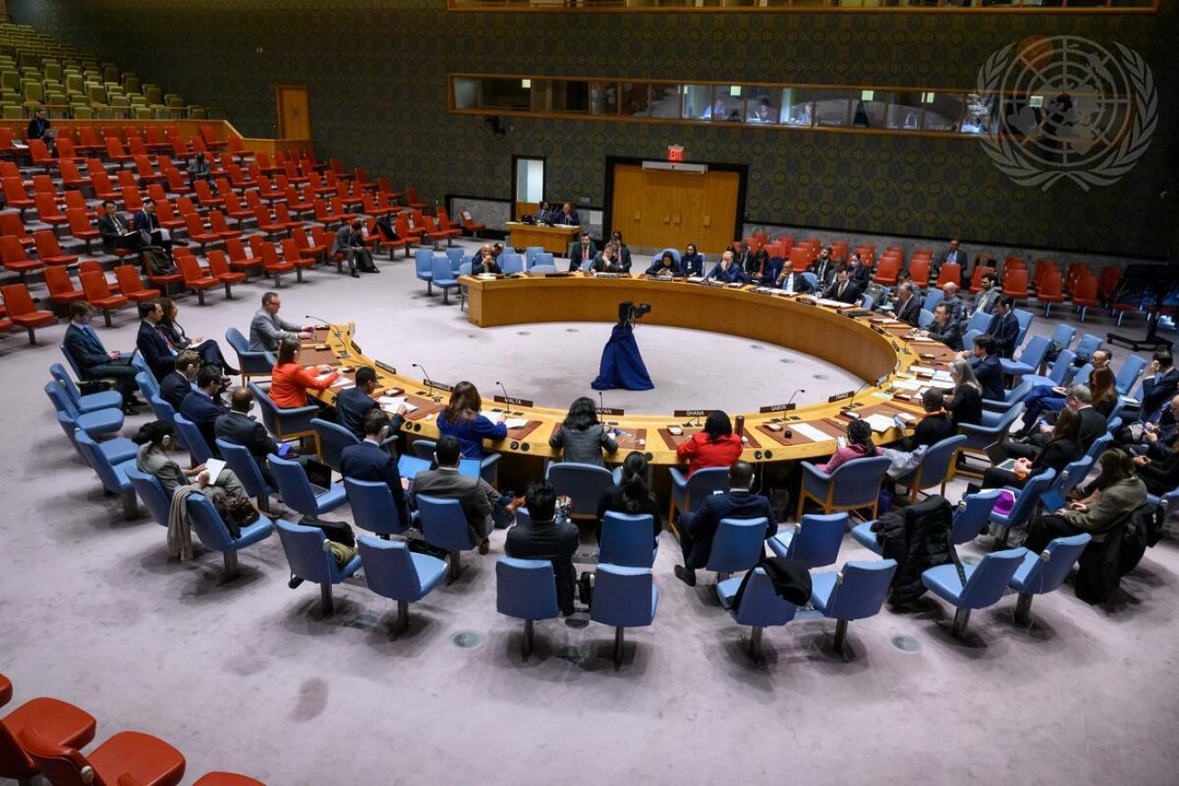 Security Council