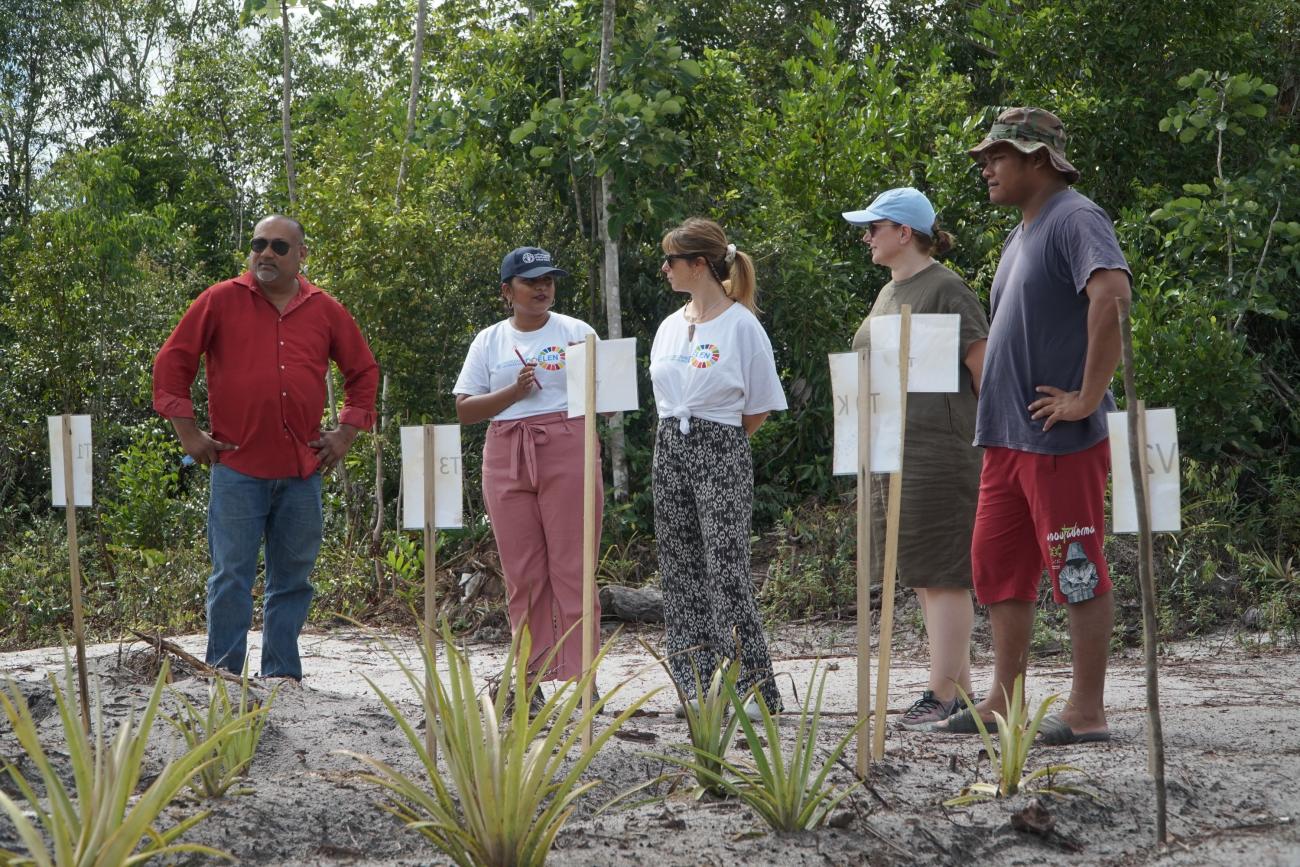 people standing in a pineapple farm