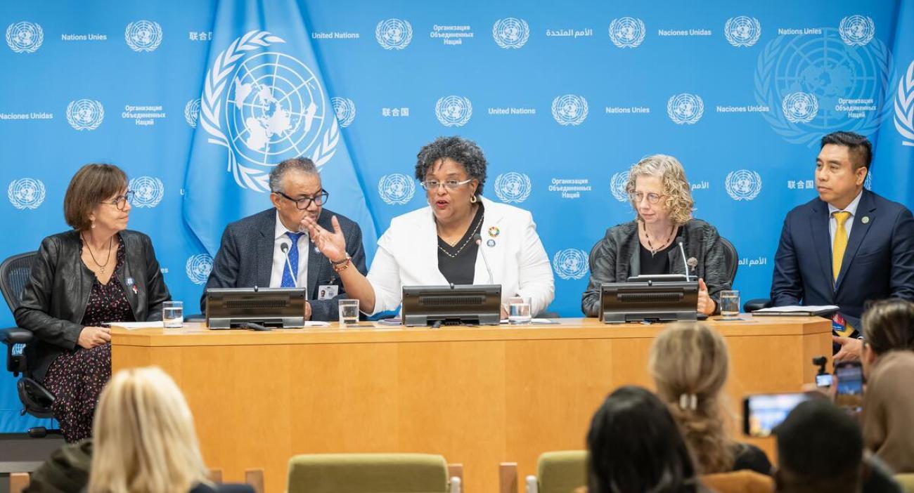 High-Level Meeting on antimicrobial resistance