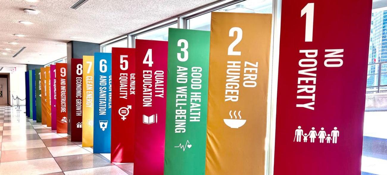 The Sustainable Development Goals (SDGs)