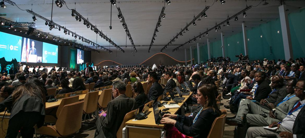 Wide shot of the plenary hall at the UN climate conference, COP29, in Baku, Azerbaijan.