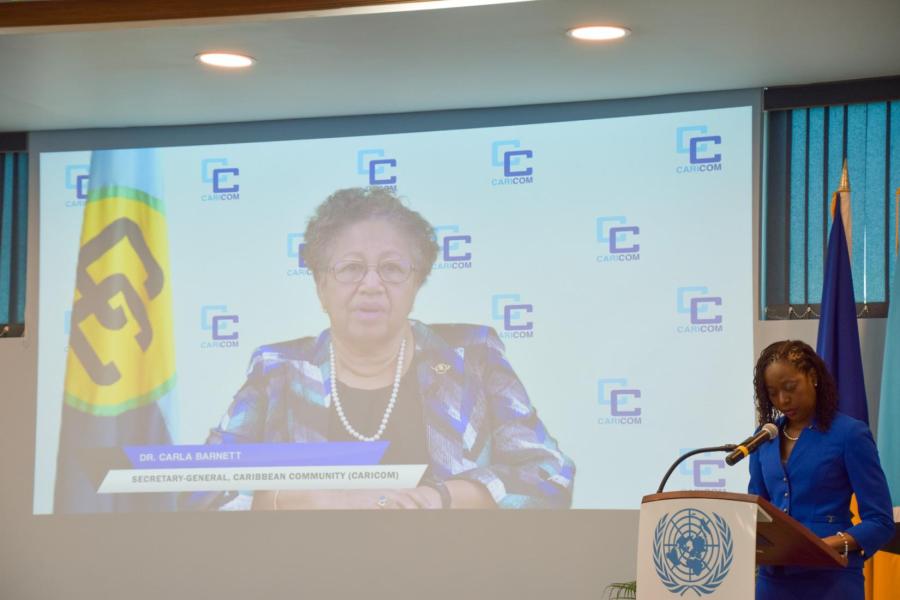 CARICOM Secretary General Dr. Carla Barnett during her virtual address to the regional launch.