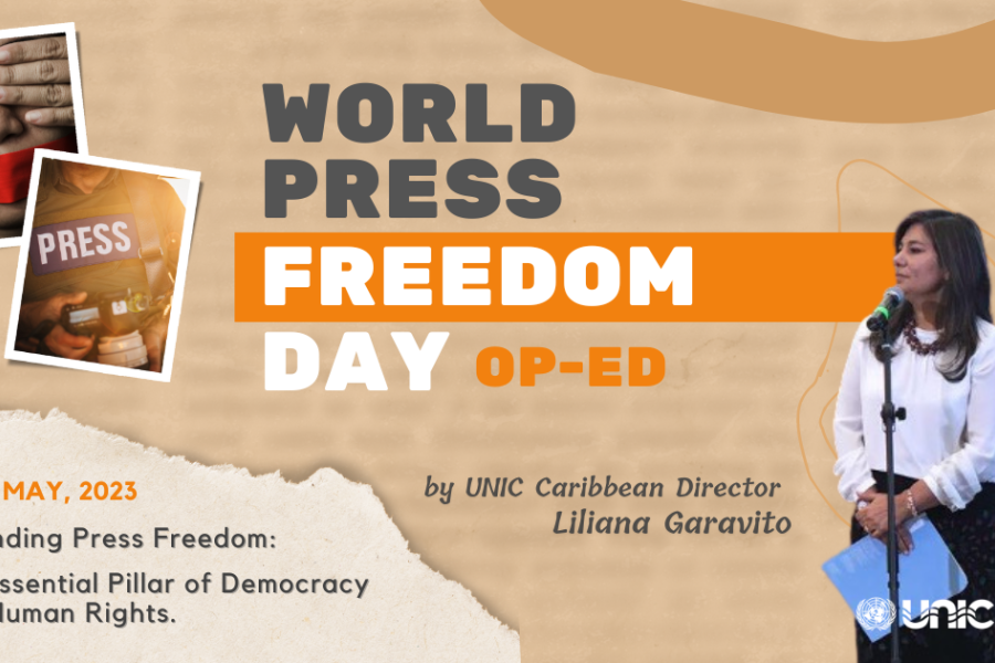 Defending press freedom: the essential pillar of democracy and human ...