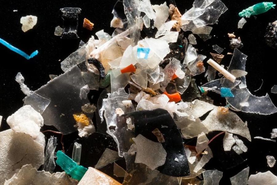 Microplastics from the Rhode River are pictured at a laboratory in the United States.