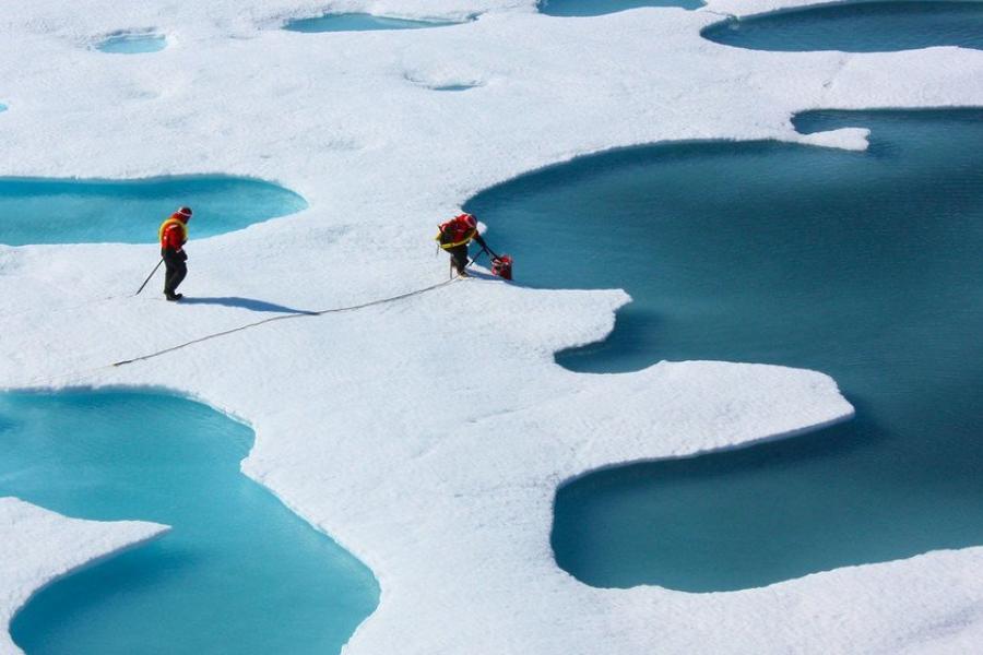 The loss of sea ice accelerates global heating and changes climate patterns.