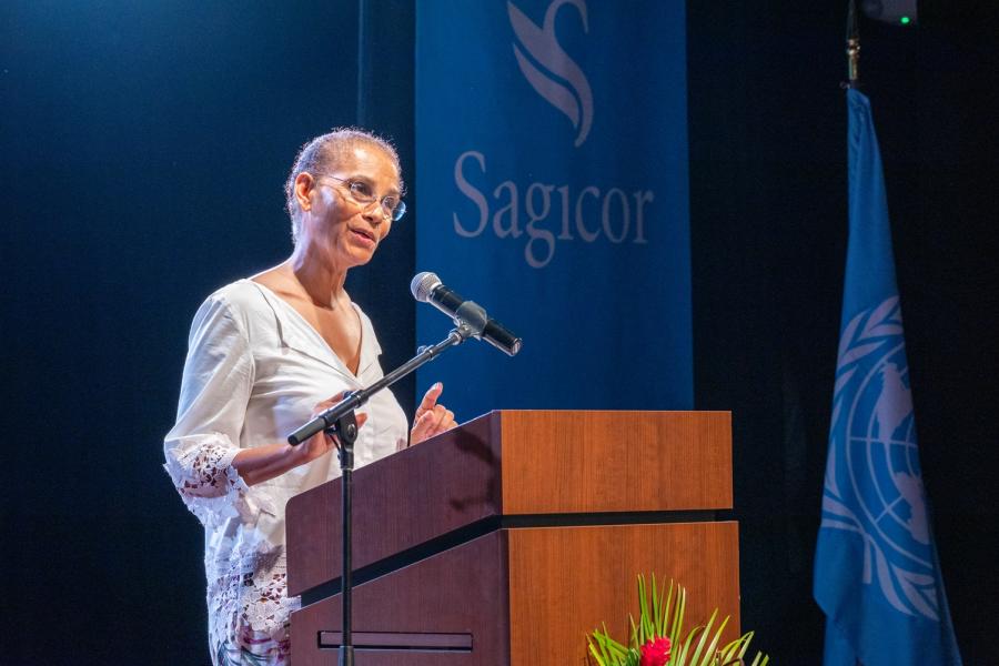 UN Resident Coordinator Ad Interim, Renata Clarke. 