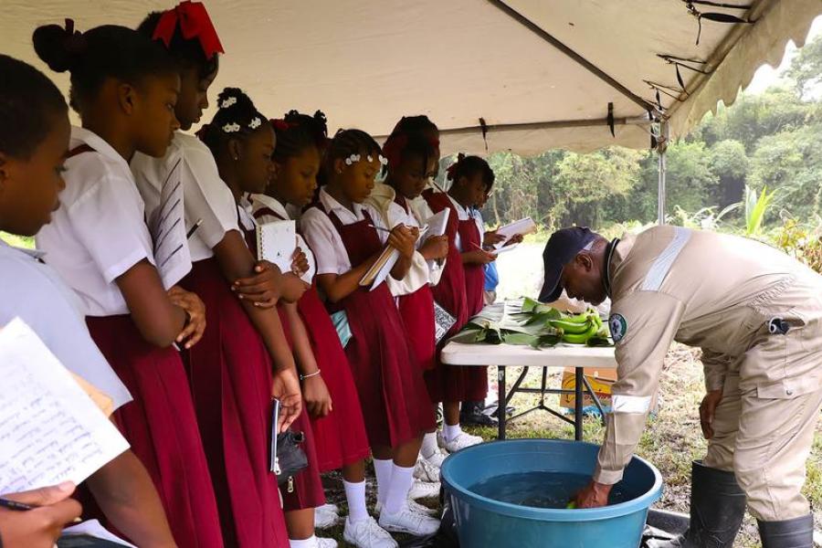 FAO/Naylan Dwarika School children in Tobago learn about the cultivation of bananas.