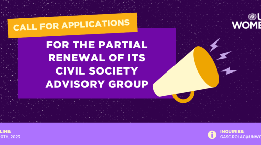 UN Women Regional Office for the Americas and the Caribbean opens a call for applications to the partial renewal of its Civil Society Advisory Group