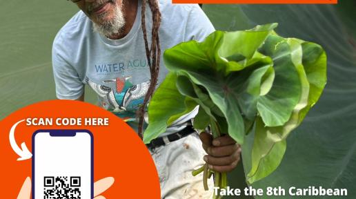 The Caribbean office of the United Nations World Food Programme (WFP) and the Caribbean Community (CARICOM) join forces to launch the Caribbean Food Security and Livelihoods Survey for the year 2025.