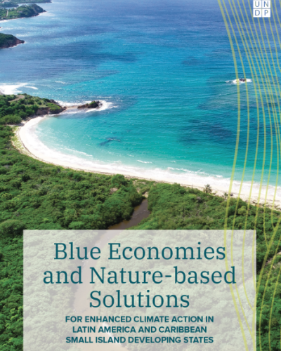 Title of report superimposed on photo of a bay (front to back forest, sand, sea)