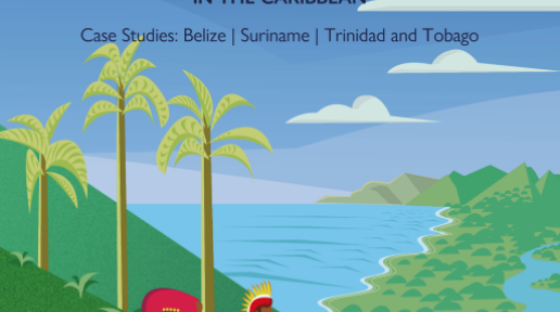  Invisible Movements: Recommendations for Facilitating the Cross-Border Migration of Indigenous Peoples in the Caribbean