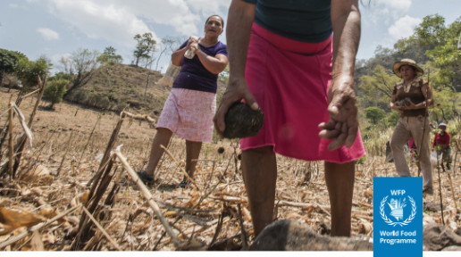 Strategic resilience and climate framework for Latin America and the Caribbean 2022