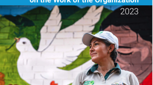 Determined: Report of the Secretary-General on the Work of the Organization 2023
