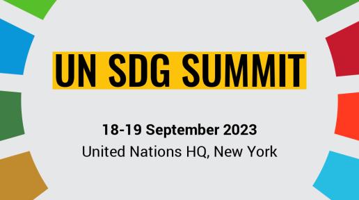 SDG Summit