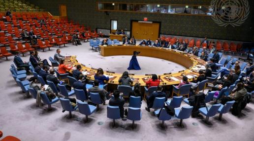 Security Council