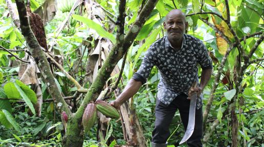 Cuthbert Monrocq, a cocoa producer in Saint Lucia, holding cocoa