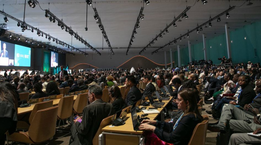 Wide shot of the plenary hall at the UN climate conference, COP29, in Baku, Azerbaijan.