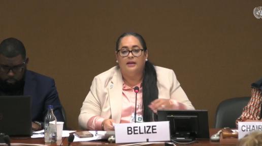 The Honourable Elvia Vega–Samos, Minister of State in the Ministry of Human Development, Families and Indigenous Peoples‘ Affairs for Belize