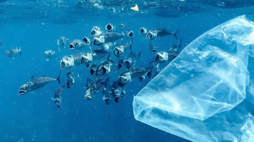 plastic pollution