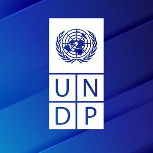 UNDP logo